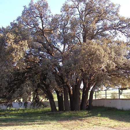 Agroturismo Calixto 비야로블레도 외부 사진